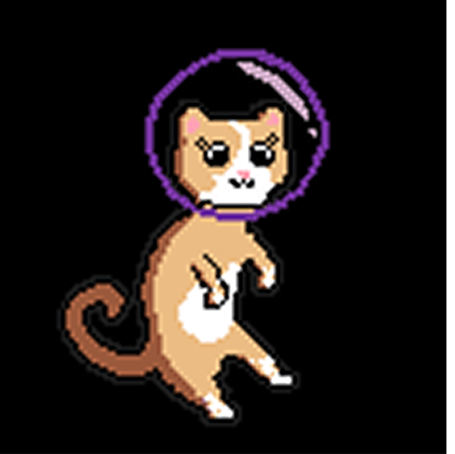 Cadete Violet - Primeira Versão